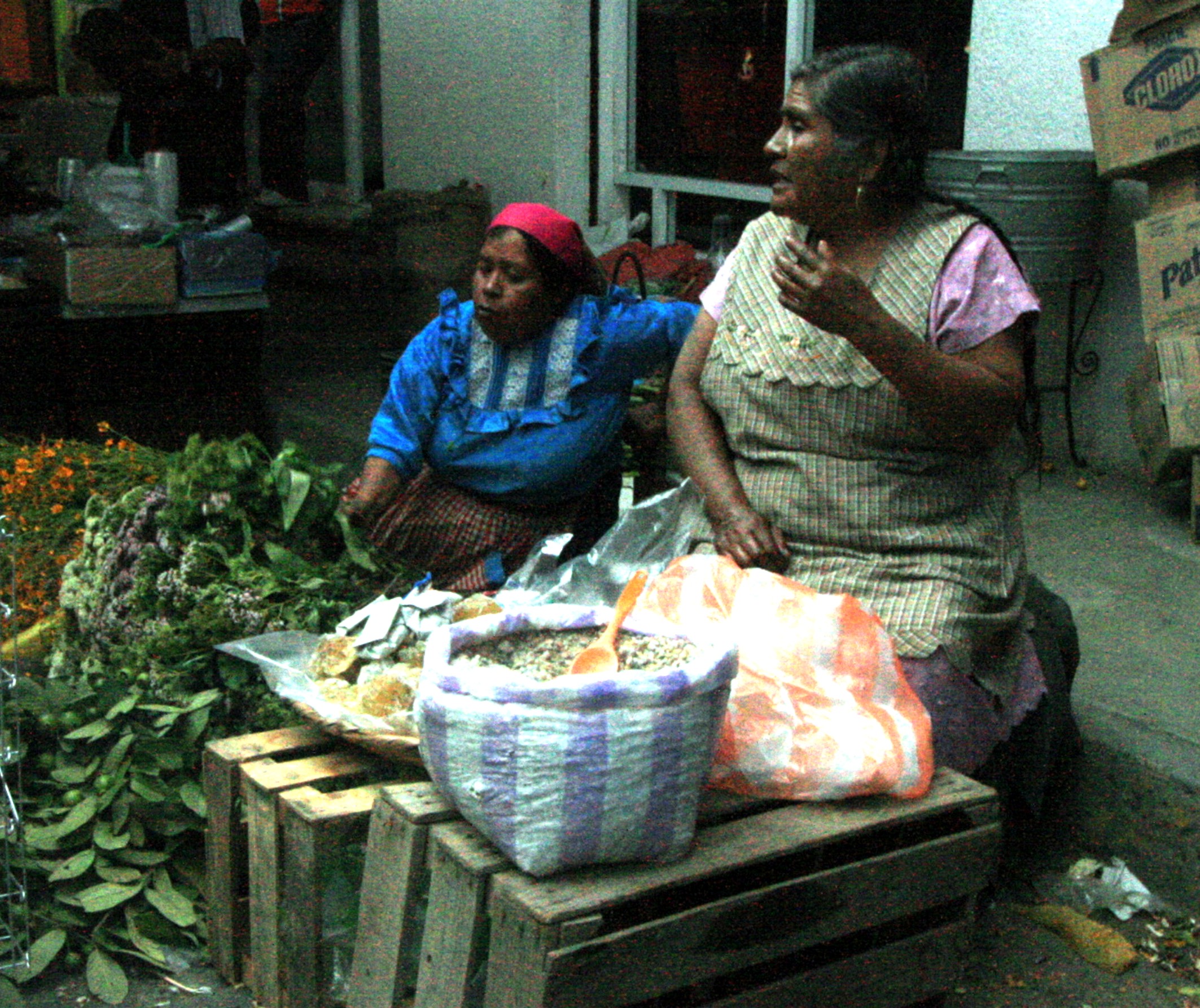 Mercado del dia de muertos en Tlacolula, vendedoras